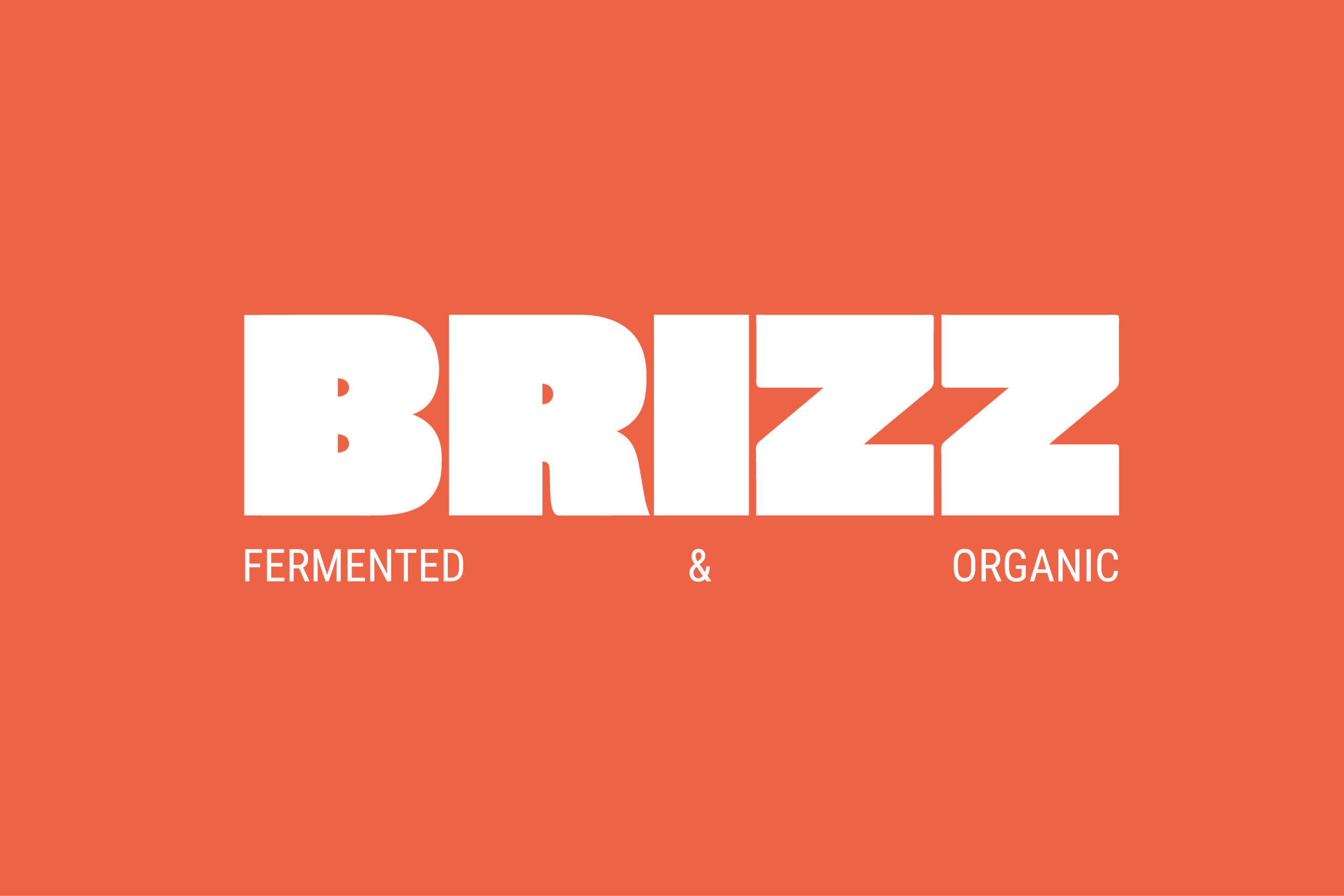 Brizz_2100x1400